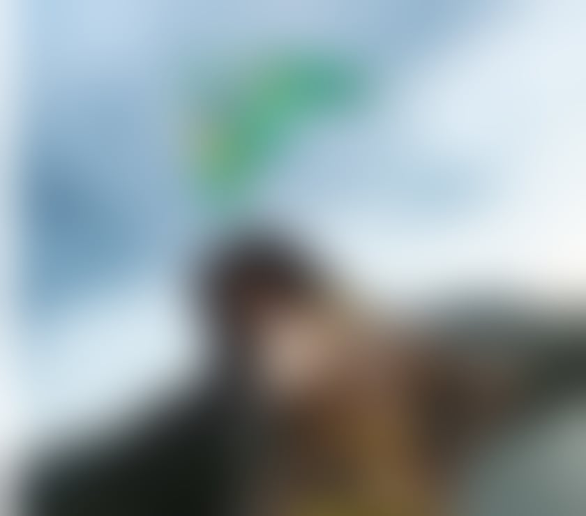 Escorts and Massages Reading Town Centre Reading - Photos for AliceeBraziliann