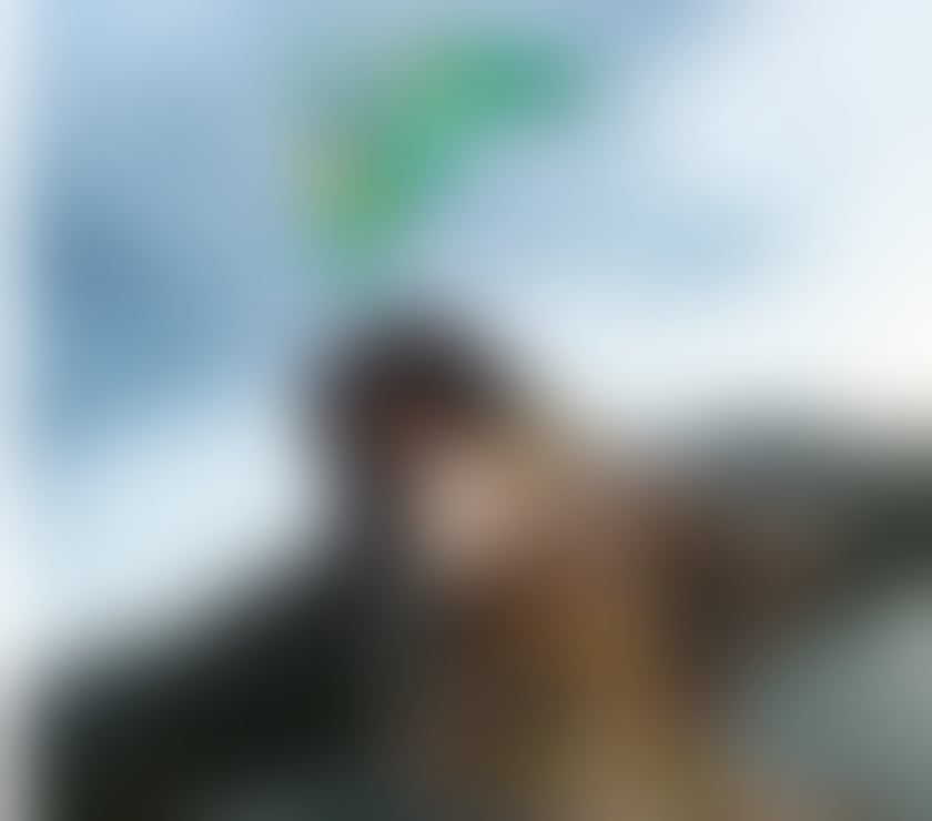 Escorts and Massages Reading Town Centre Reading - Photos for AliceeBraziliann