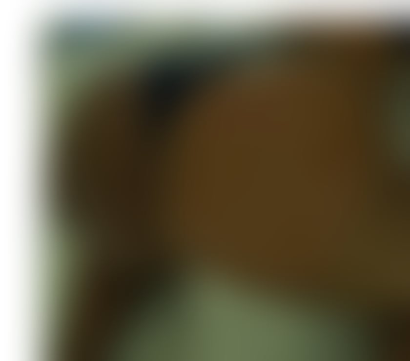 Eva 🌹 Black African 🖤