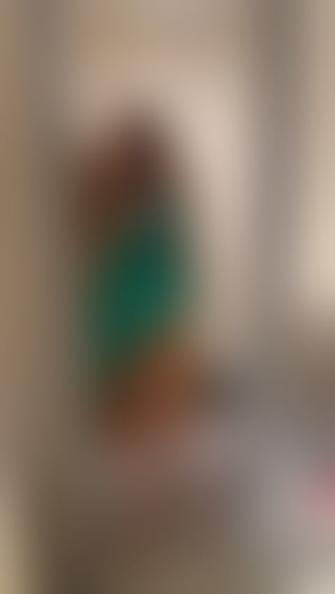 Escorts Essex Colchester - 