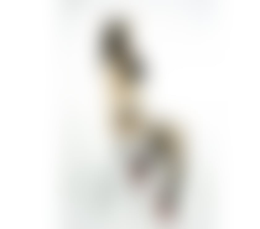 Escorts South East London Lewisham - Photos for Emily UNFORGETTABLE GIRLFRIEND EXPERIENCE & BEST BJ