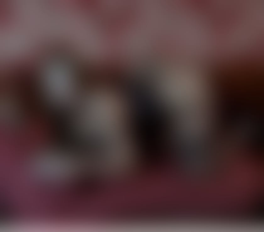 Trans Escorts South Yorkshire Sheffield - Photos for TS CYNTHIA🔥😈 super hot and sexy