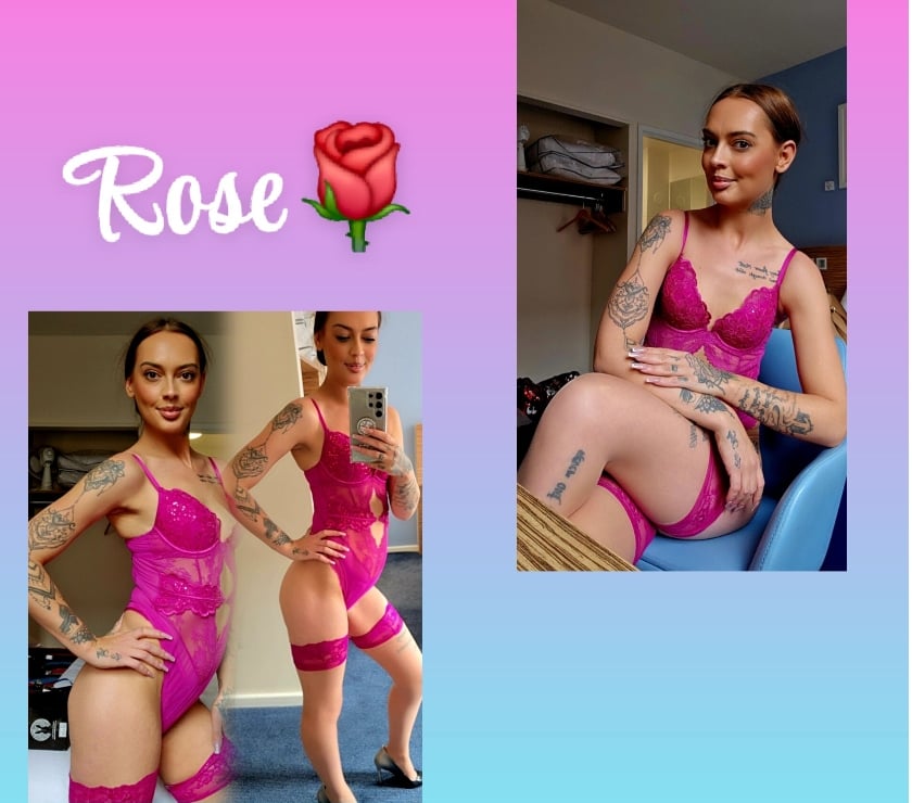 White British Rose 🌹 07300647789