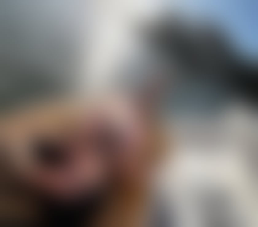 Escorts South East London Croydon - Photos for 🇧🇷🔥HOT BRAZILIAN🔥🇧🇷Very sexy 100% real🔥