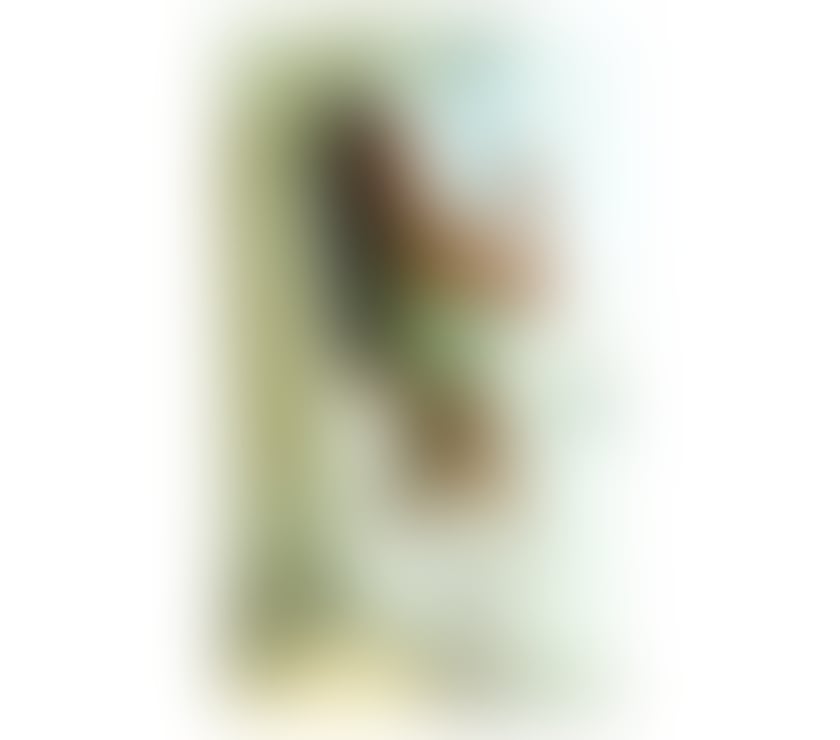 Escorts South West London Earlsfield - South West London - Photos for 👑 Playful Dream:Soft Skin & Sweet Secrets💎