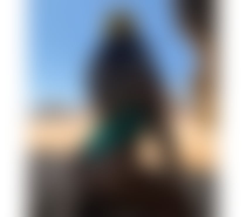 Escorts Buckinghamshire Aylesbury - Buckinghamshire - Photos for Nekinha_ Brasileira 🤤