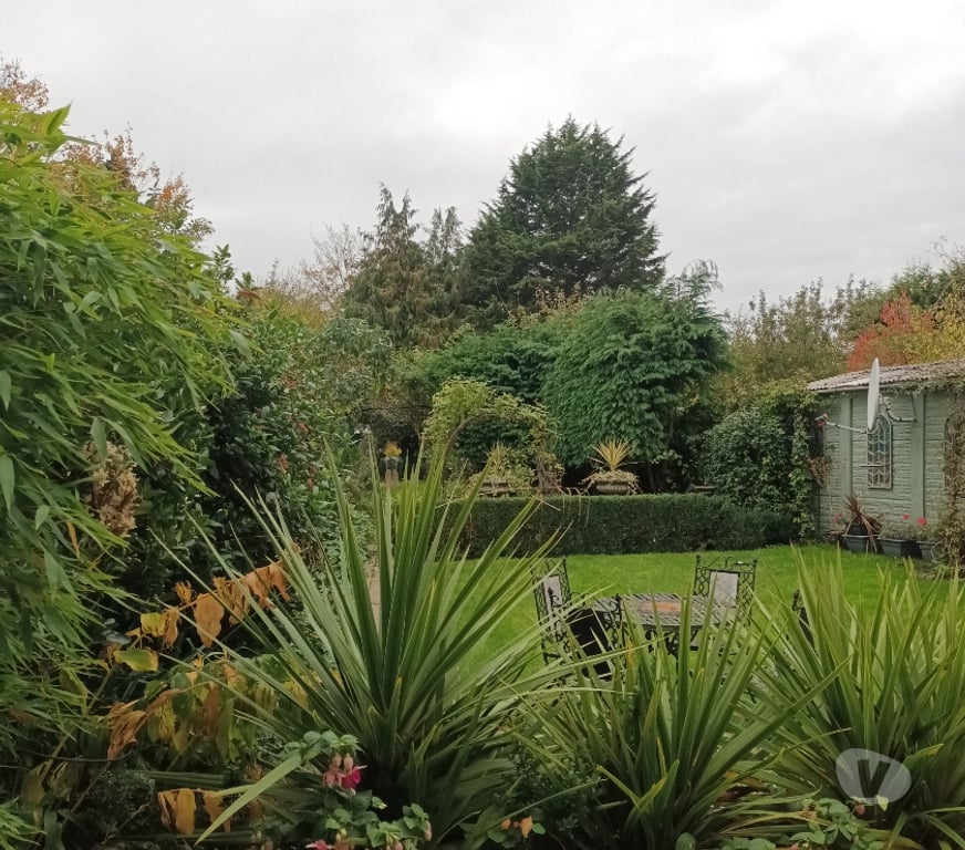 room to let Bedfordshire Luton - Photos for Large double room available