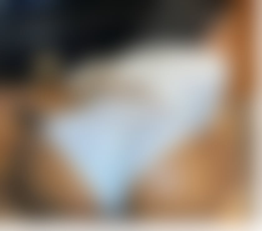 LAYLA ON A SHORT TOUR OF THE CITY