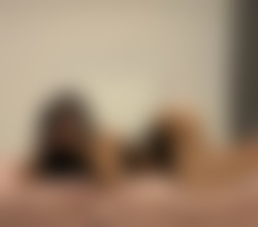 Escorts Reading Town Centre Reading - Photos for New In Town available for incall outcall good service's