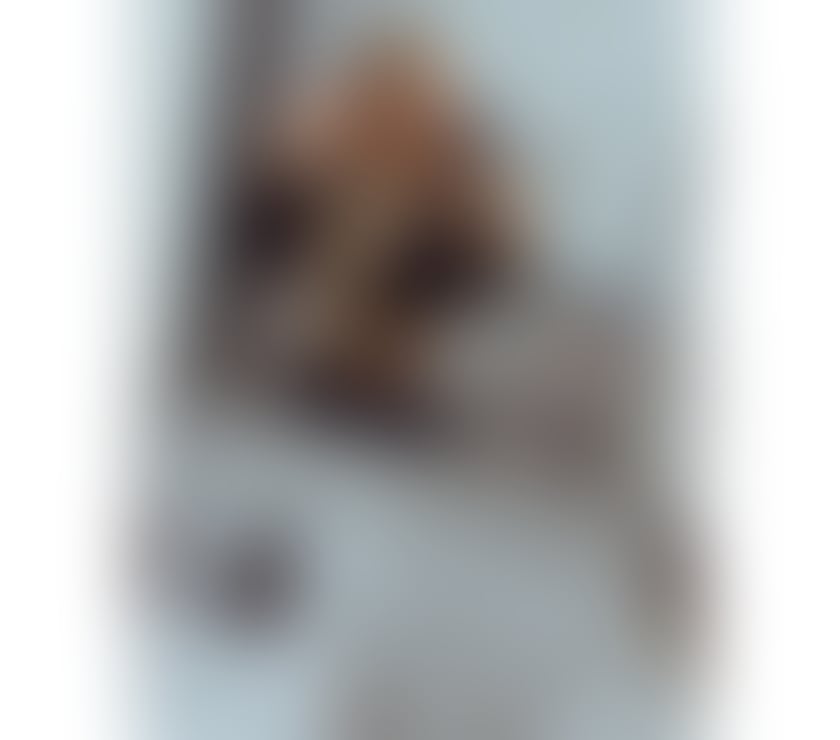 Escorts North London Enfield - Photos for Bárbara ✨ Brazilian 🇧🇷 Party Girl