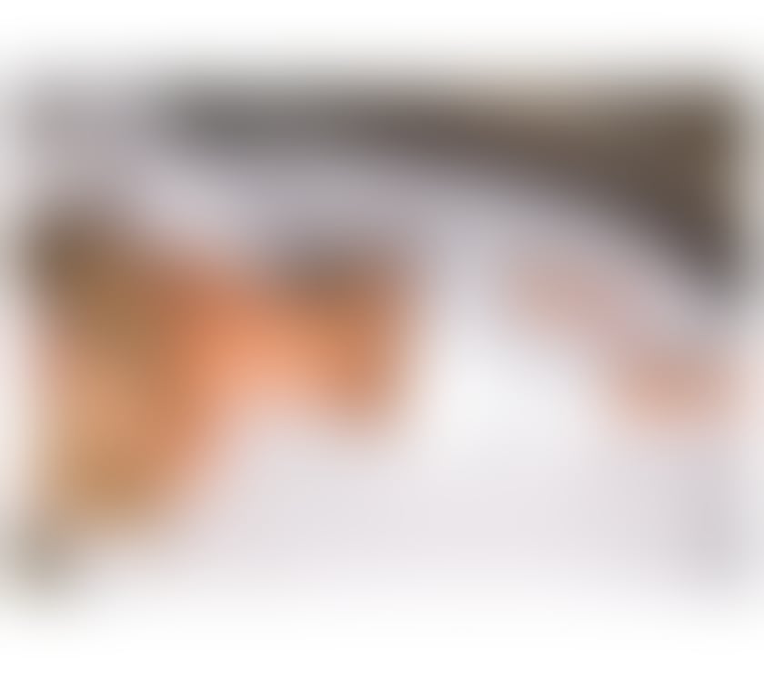 Escorts North London Enfield - Photos for Bárbara ✨ Brazilian 🇧🇷 Party Girl