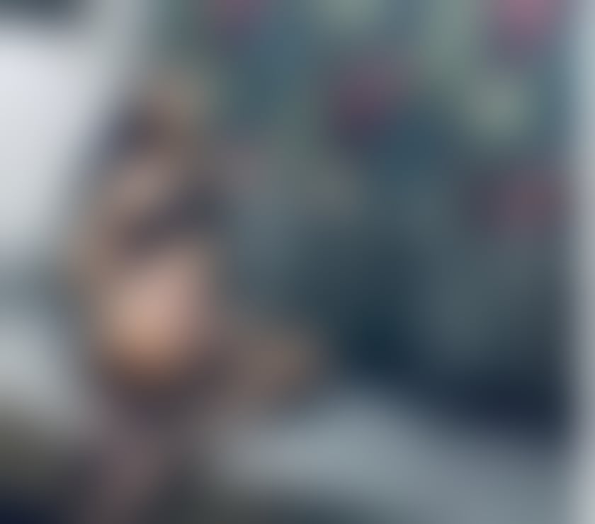 Transsexual Escorts Nottingham City Centre Nottingham - Photos for NAUGHTY TS IN YOUR TOWN PARTY QUALITY SERVICE