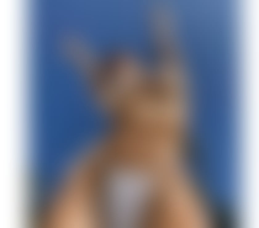 Escorts South East London Catford - South East London - Photos for 💣🔝Girl🚨Book Now🚨Available📲