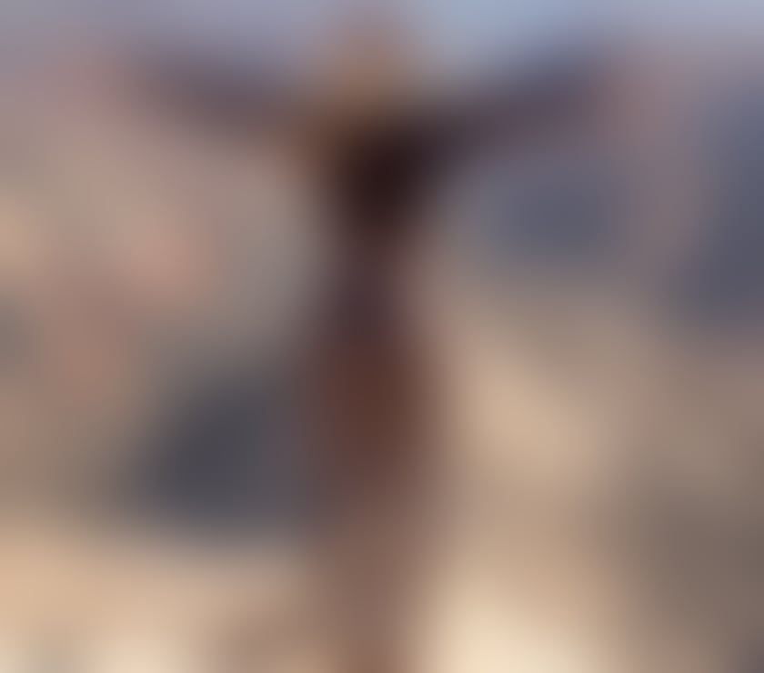 Vip new Here sexy and sexy elegant