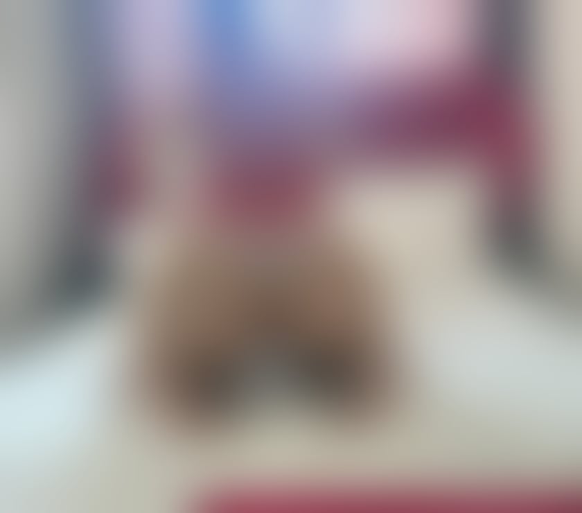 Escorts West Yorkshire Kirklees - Photos for Hot!New!Party girls