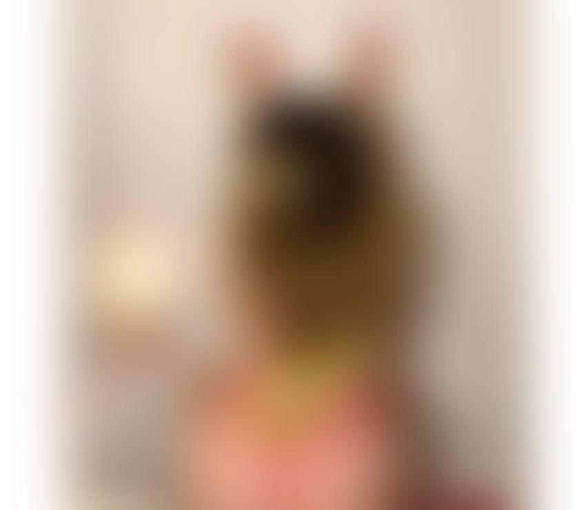 Escorts North Yorkshire Middlesbrough - Photos for ❤️‍🔥Top Girl❤️‍🔥New here🎁