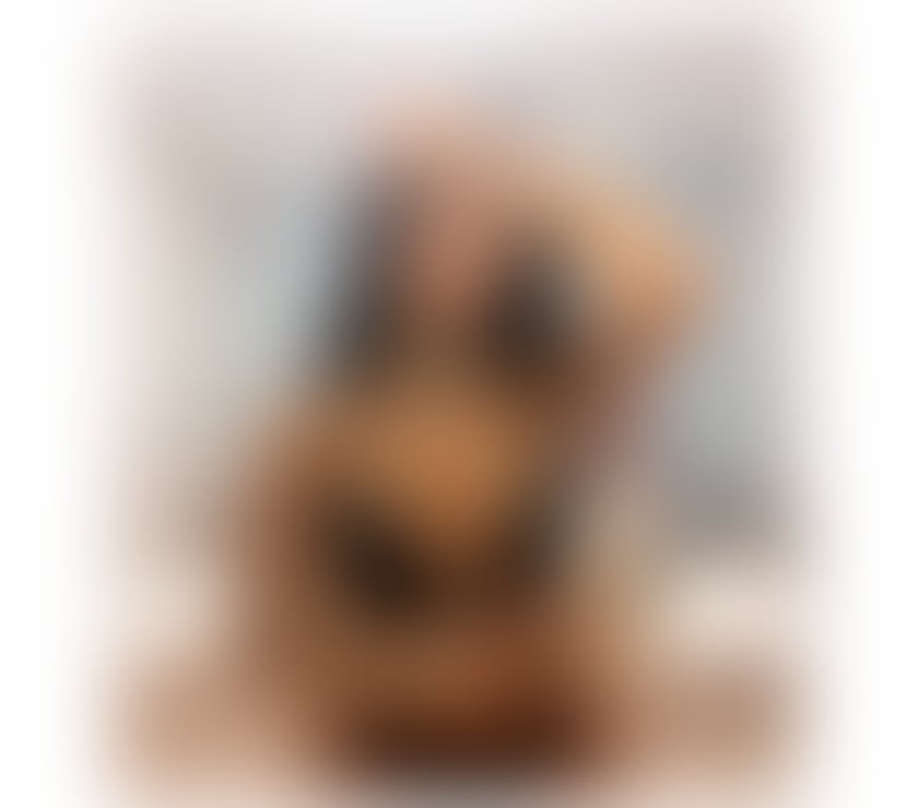 Escorts and Massages Coventry City Centre Coventry - Photos for NEW ARIVVED TOP SERVICE NO RUSH