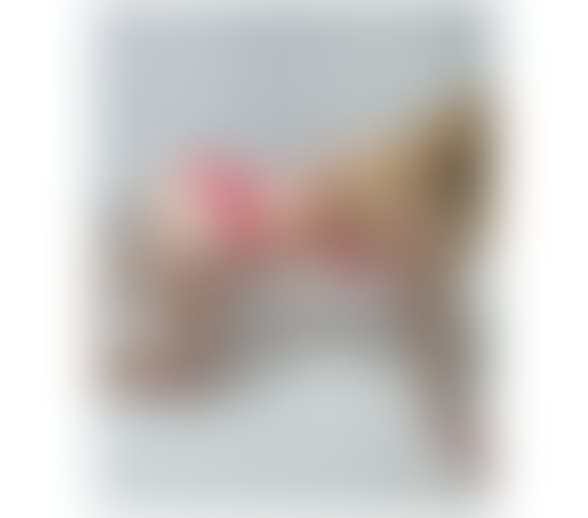 Escorts and Massages Fishtoft Boston - Photos for Sexy❣️blonde🔥partygirl🎉without ❤️sweetheart