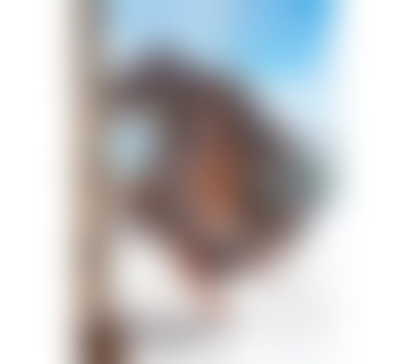 Trans Sunderland City Centre Sunderland - Photos for 🔥 NEW 😈 LEXA 🔥 BRAZILIAN TS GIRL 😈