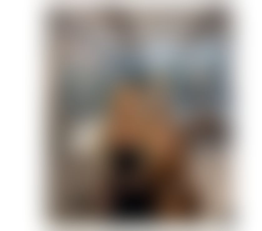 Escorts and Massages Lincoln City Centre Lincoln - Photos for Blond girl 💯💯💯 Stuning or Pornô Star 🍑