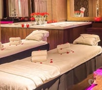 Calm, Respectful & Discreet Companion