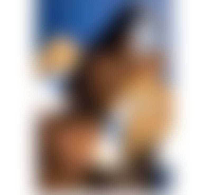 Escorts Lancashire Blackpool - Photos for Sexy Party girl 🔥