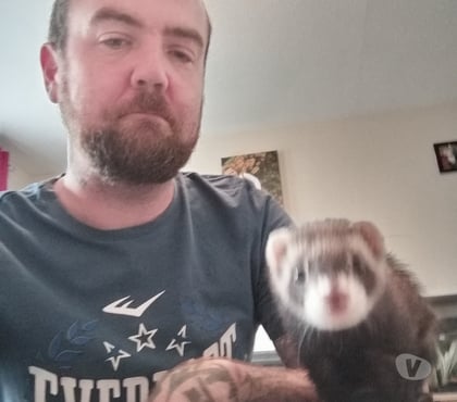 naughty dating Limavady Causeway Coast and Glens - Photos for Tall slim tattooed man looking mes right or wrong