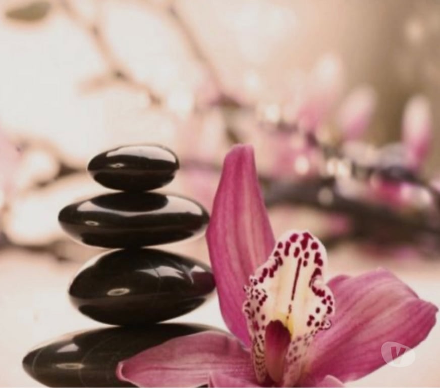  Gay massage Devon Exeter - Photos for Urban euphoria available for massage service.