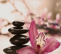 Urban euphoria available for massage service.