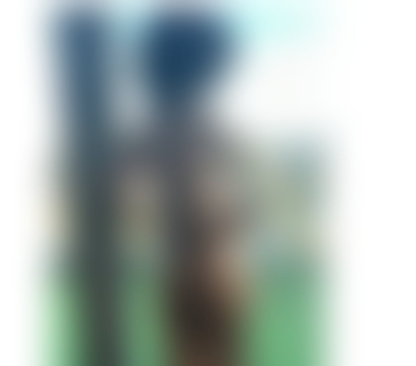 Escorts Edinburgh Edinburgh Old Town - Edinburgh - Photos for Lunna, New Brasilian Girl✨🥰