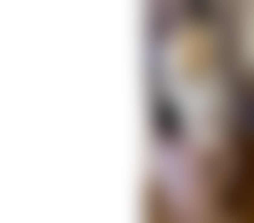 Escorts and Massages Craigavon Armagh, Banbridge and Craigavon - Photos for LAURA. Hello, I am a massage professional.