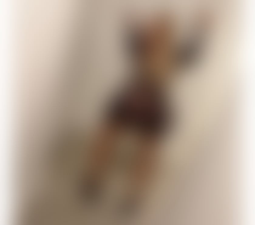 Escorts Staffordshire Stoke-on-Trent - Photos for JADE❤️‍🔥PARTY GIRL🍾🥂NEW GIRL IN TOWN🇧🇷