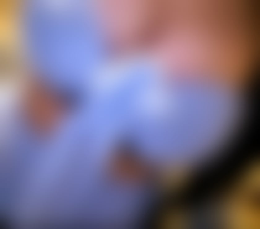 Trans Escorts Staffordshire Stoke-on-Trent - Photos for Slopy toppy or Dom experience