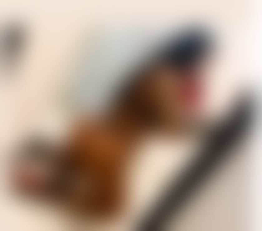 Escorts South Yorkshire Barnsley - Photos for Hello i am Adelle just come in yours town❌party❤☎️