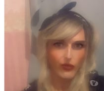Professional Tgirl escort In Sheffield