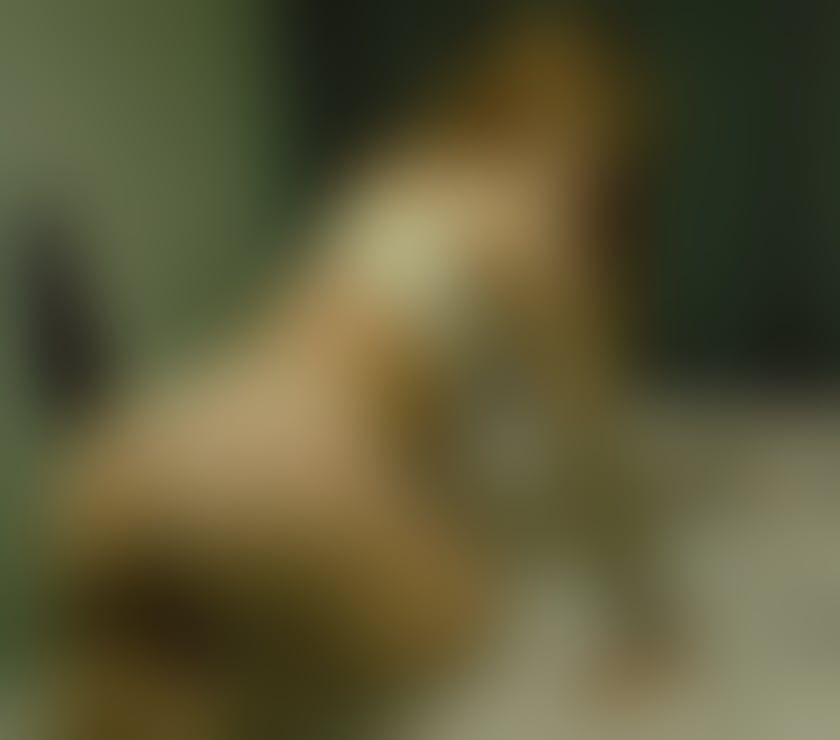 😍ANGELIKA 👌🏻REAL PICTURES 💋INCALL ONLY😋