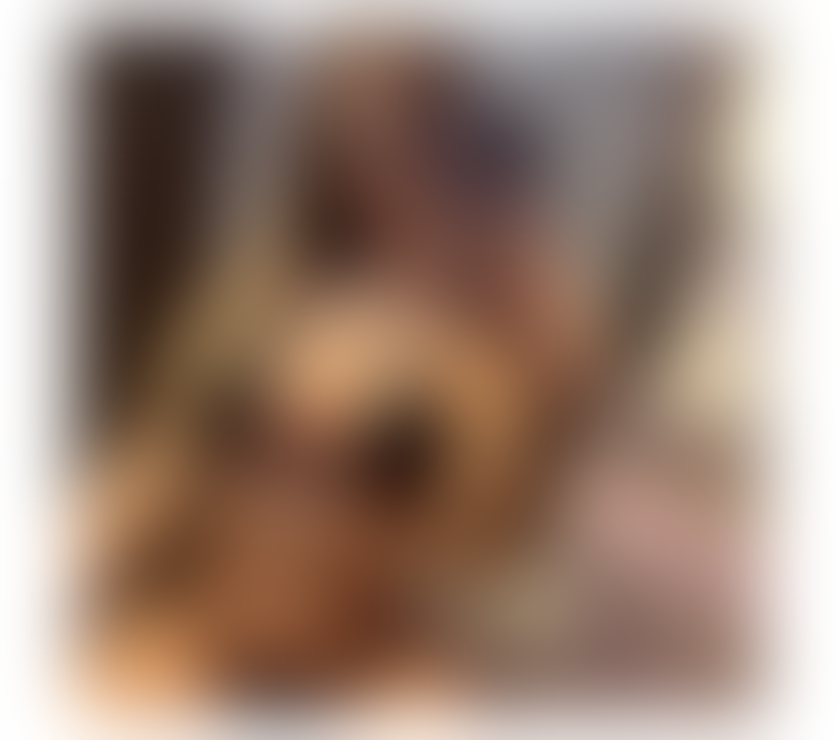 ꧁TOP SERVICE OUTCALL꧂24⸻7 𒐤🔴NEXT LEVEL🔴