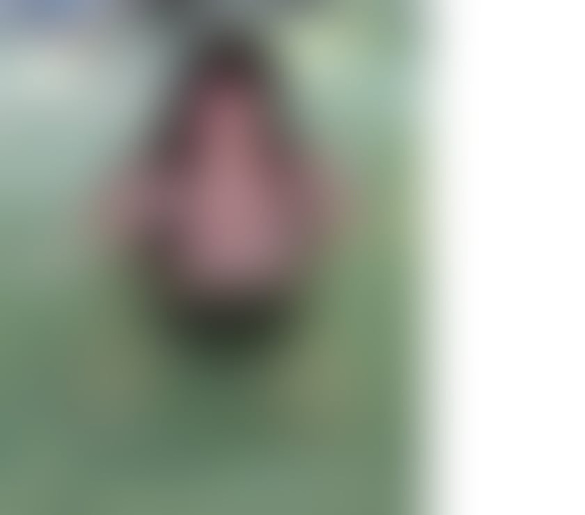 Escorts Worcestershire Redditch - Photos for KETRIN💯Christmas superOFFER🌲🥂party grill bigass