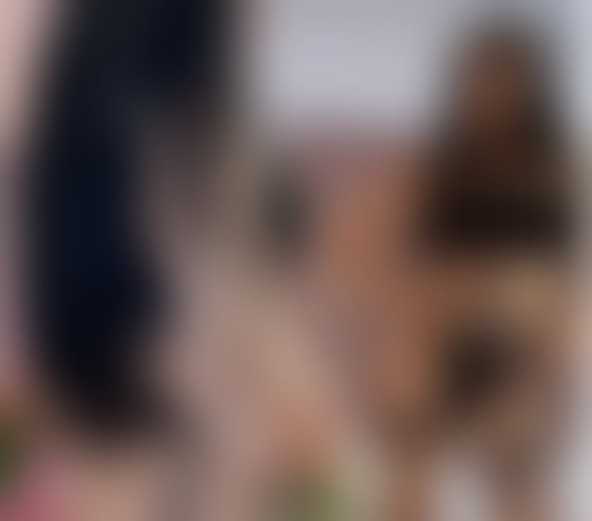 Escorts West Midlands Wolverhampton - Photos for 🇹🇷 VIP EXCORT 24 7 AVALIBLE 🎉 OUTCALL