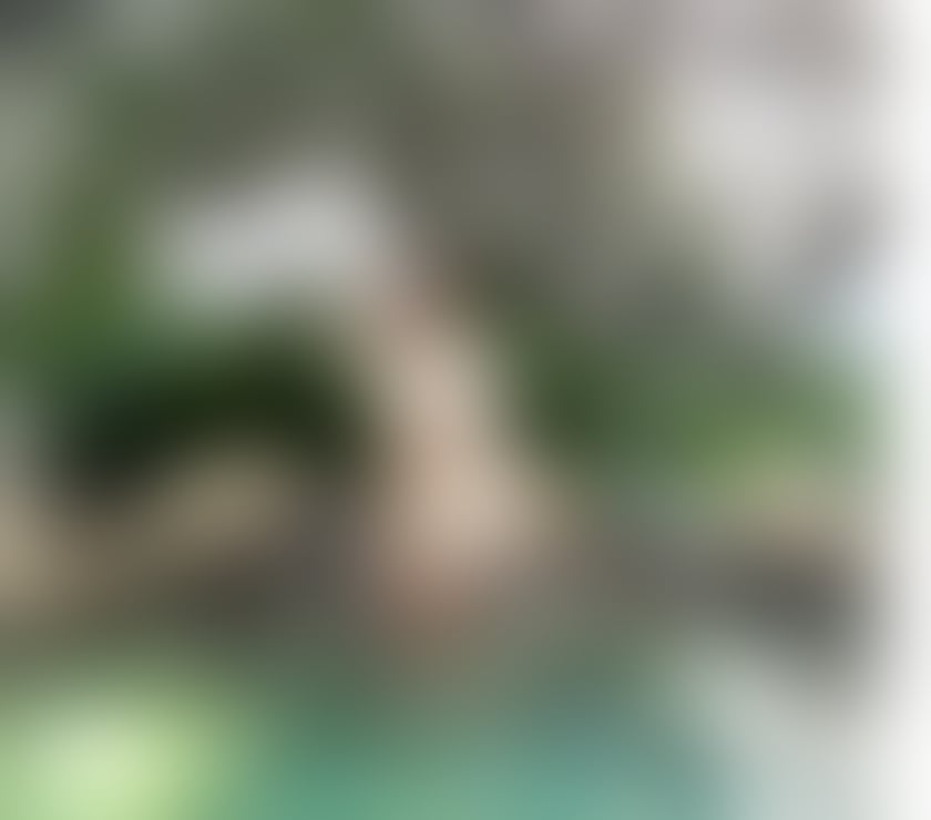 Escorts and Massages Wellingborough North Northamptonshire - Photos for 💓DUO✨Like me, call me✨☎️