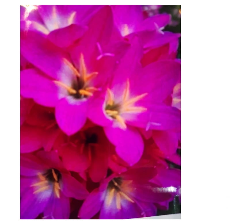 Full body massage Lancashire Blackburn with Darwen - Photos for Thai massage by poppy