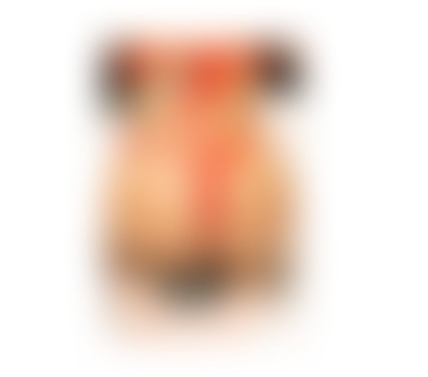 Trans Escorts Leicestershire Leicester - Photos for Perola Brazilian 🇧🇷 Party 🎉 Hot 🔥