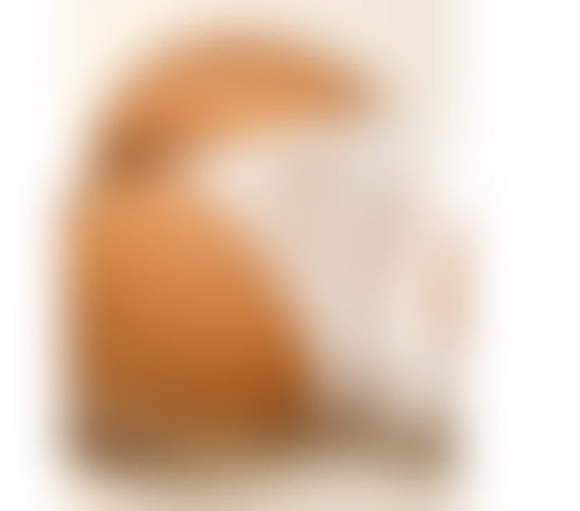 Escorts Leicestershire Leicester - Photos for LadyBoy Perola Brazilian Hot Party