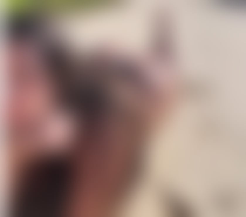 Escorts East London Aldgate East Station - East London - Photos for LAYLA 🇧🇷 PARTYGIRLFRIEND 🥳BEST SERVICES💋