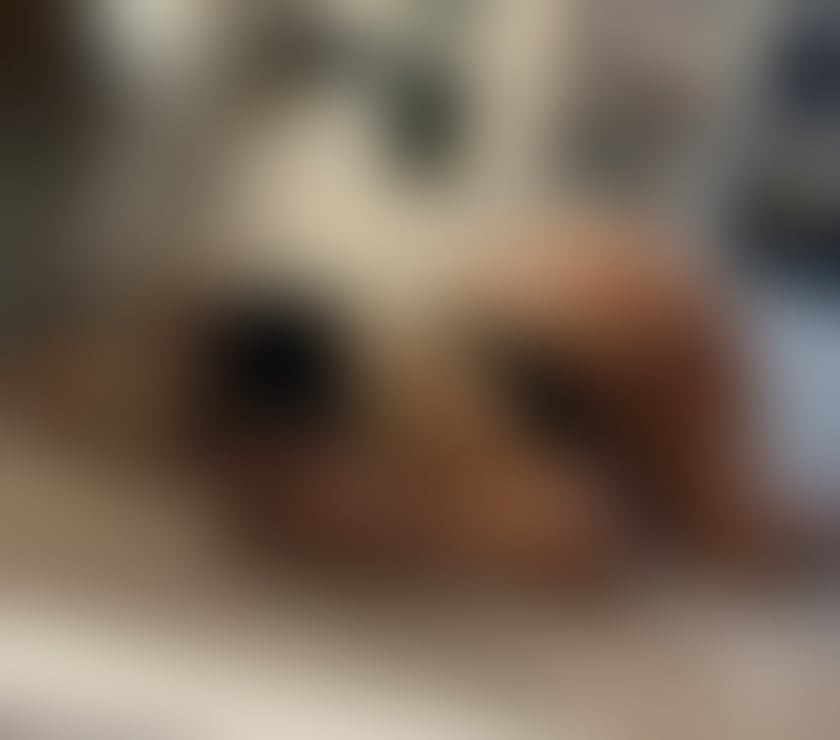 Escorts Dorset Bournemouth, Christchurch and Poole - Photos for JULYA🍓PARTY🍓OWO👅PARTY👅