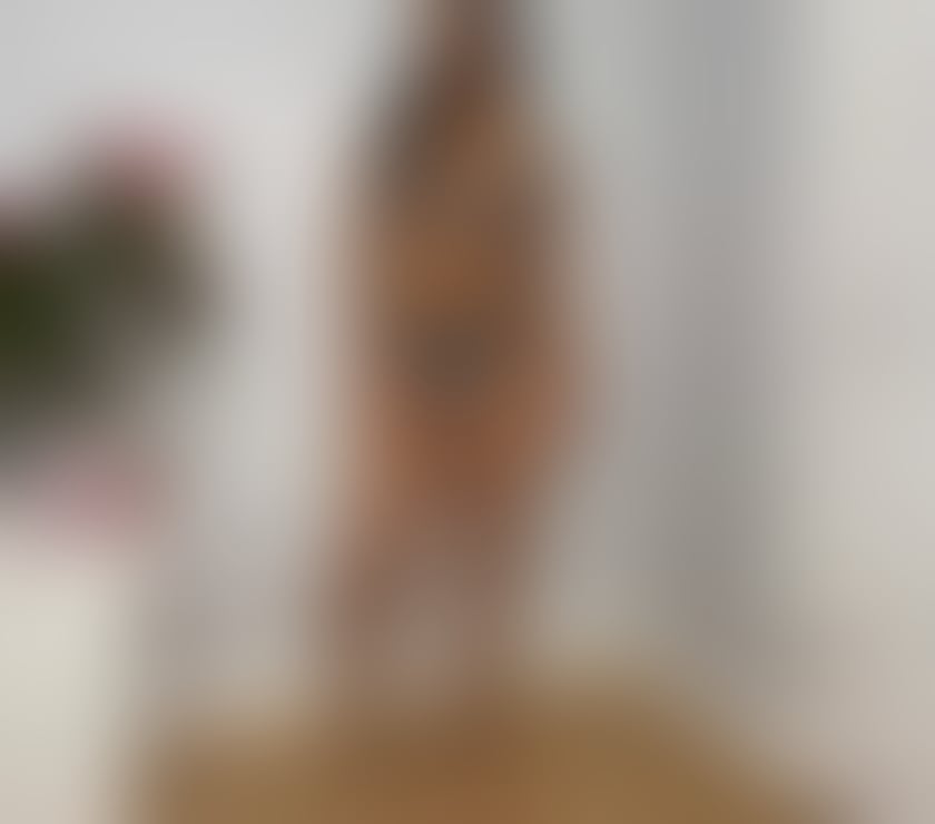 Escorts Slough Slough Town Centre - Slough - Photos for JESSY 🤪 OWO 🤯 HIGH QUALITY SERVICES🤪