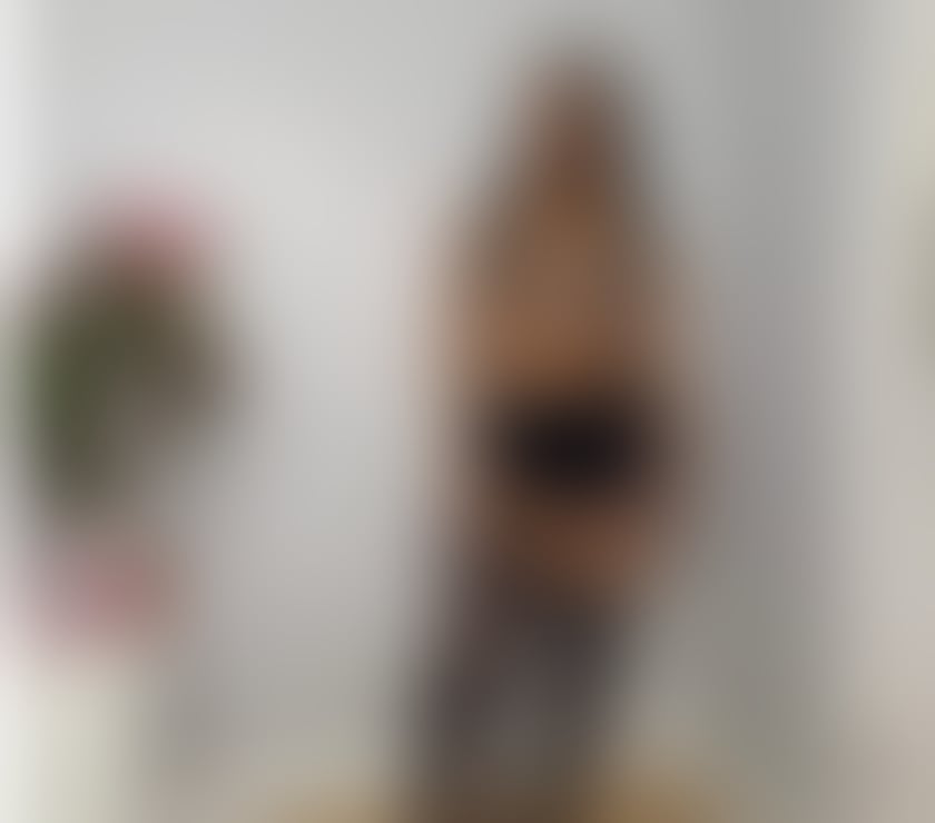 JESSY 🤪 OWO 🤯 HIGH QUALITY SERVICES🤪