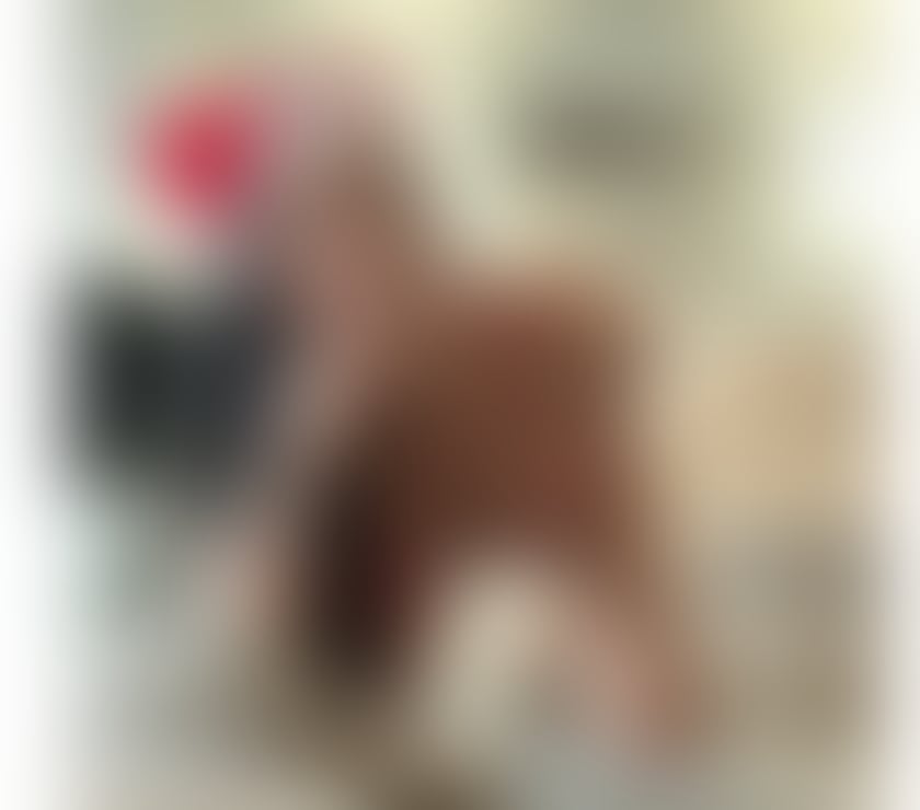 Escorts Lancashire Lancaster - Photos for 🇧🇷NATALIA Brazilian BACK TO TOWN 🌸