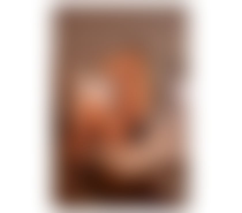 Trans Escorts Greater Manchester Manchester - Photos for TS Bruna Mazzoni horny