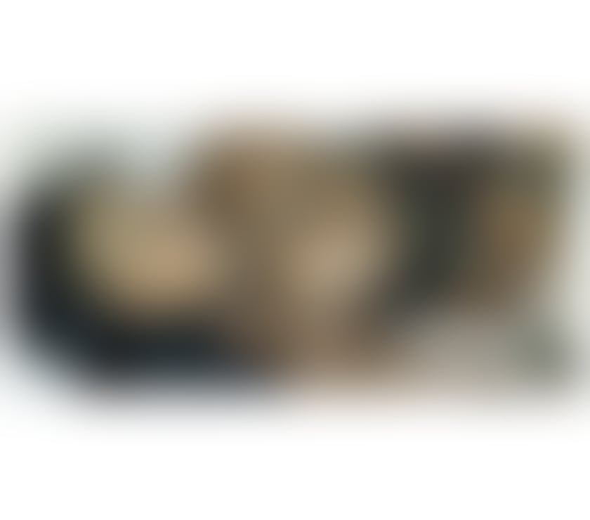 Escorts North London Seven Sisters Station - North London - Photos for ✨️♥️Ebonny Hera♥️✨️